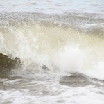 IMG_6633 IMG_6633