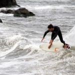 IMG_6695 IMG_6695