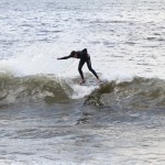 IMG_6784 IMG_6784