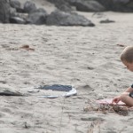 IMG_7148 IMG_7148