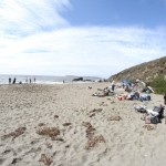 IMG_7271 IMG_7271
