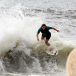 IMG_7291 IMG_7291